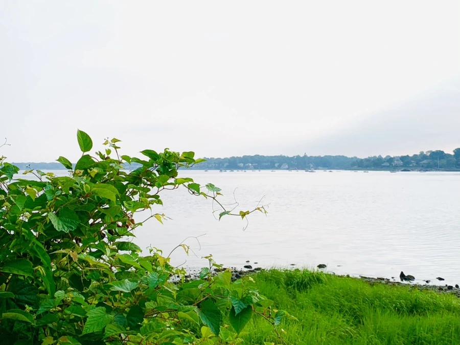 IMG_2270.jpg?type=w966