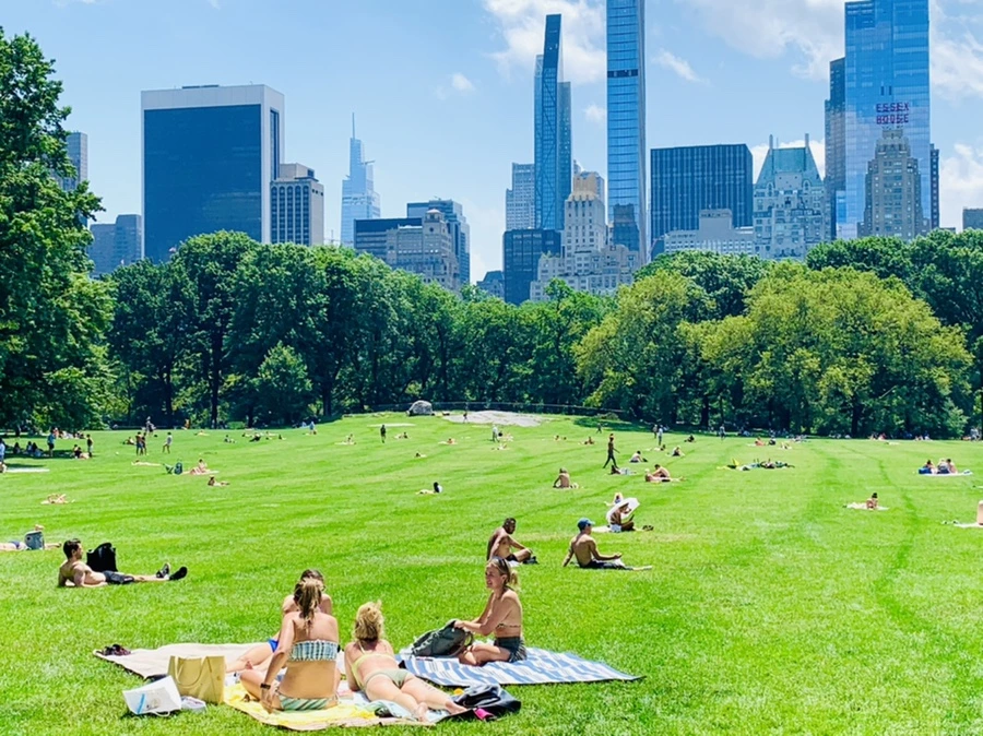 IMG_5386.jpg?type=w966