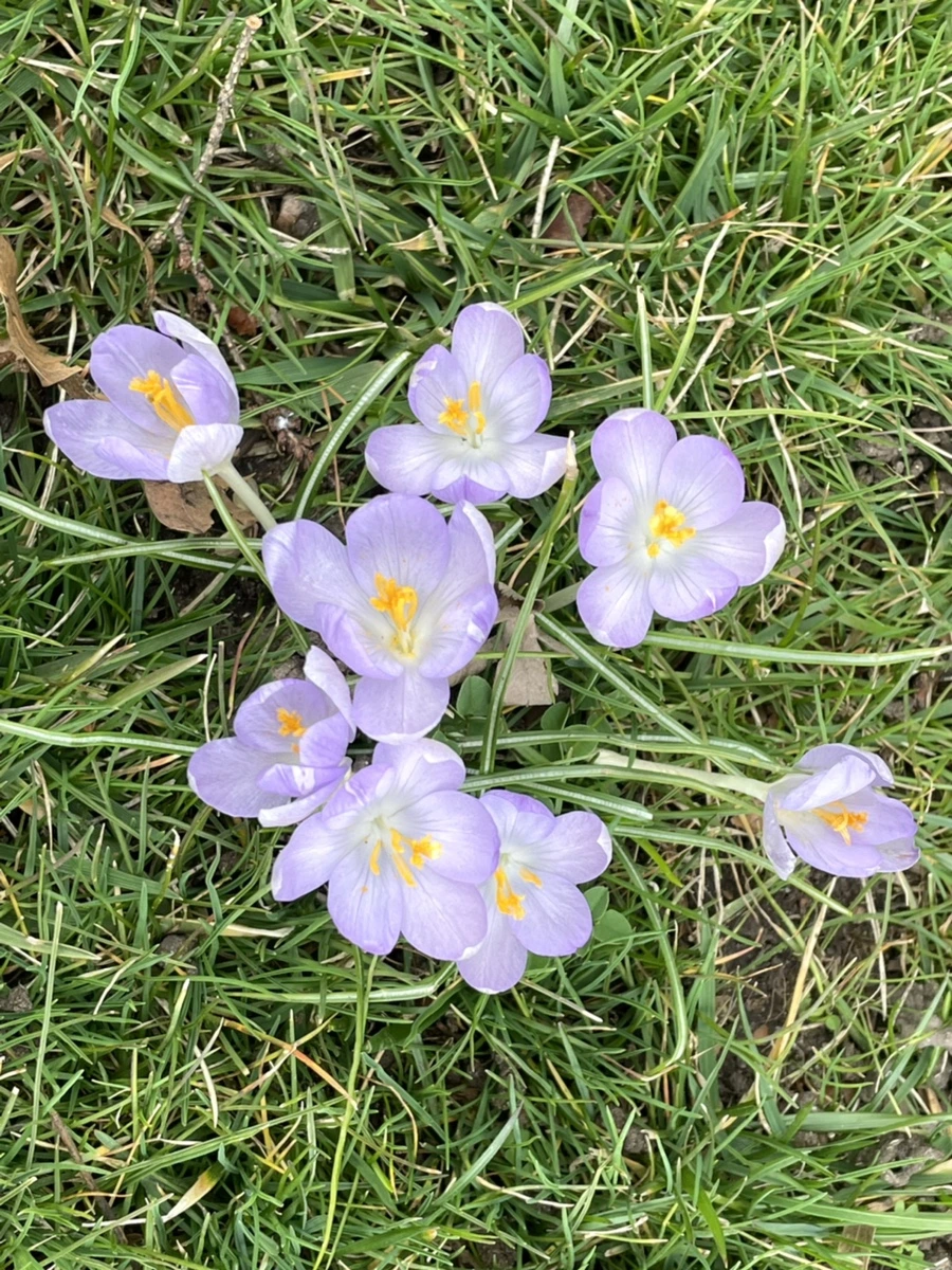 IMG_4061.jpg?type=w966