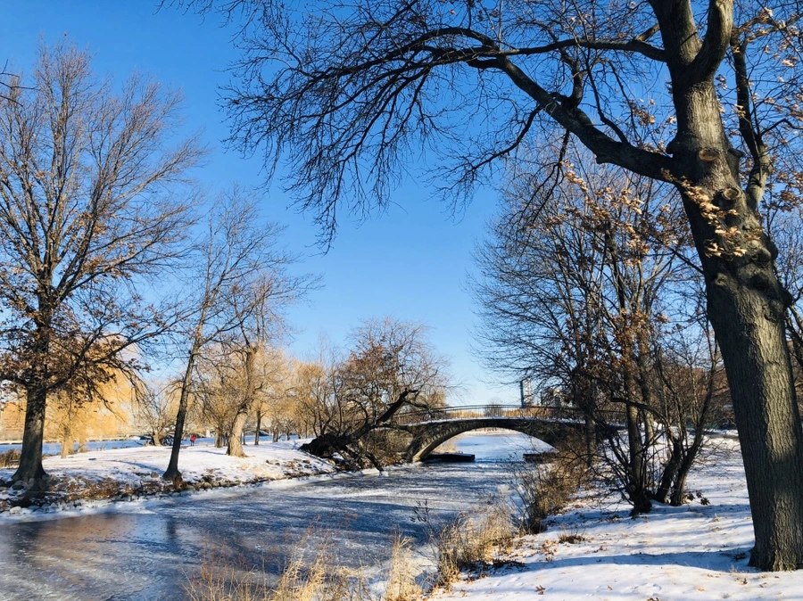 IMG_2851.jpg?type=w966