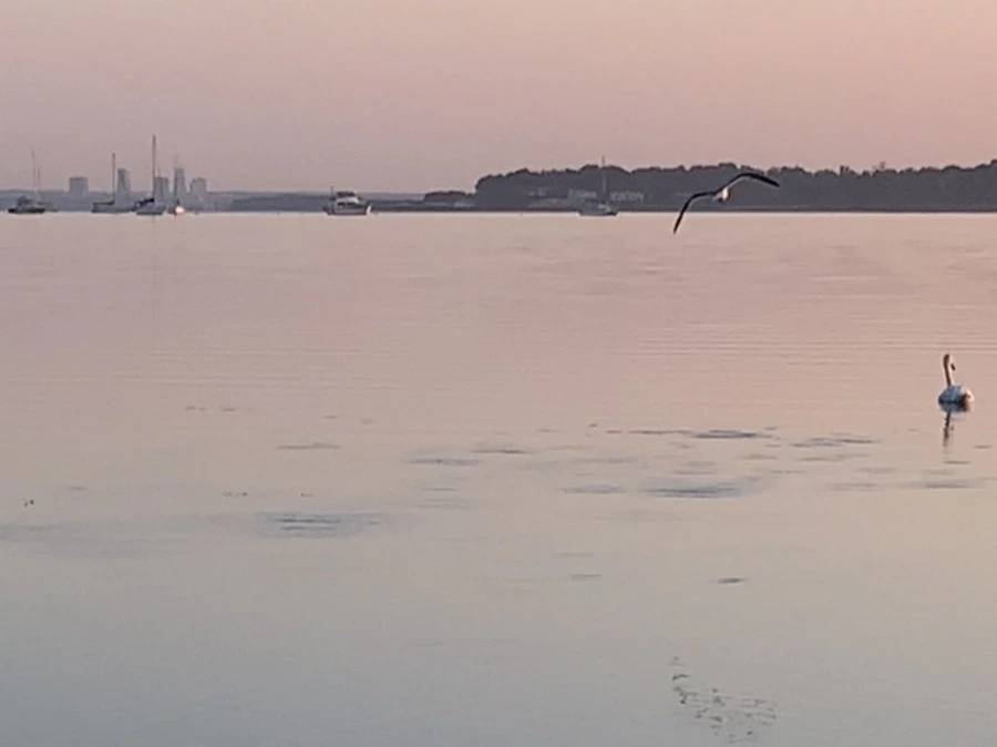 IMG_0178.jpg?type=w966