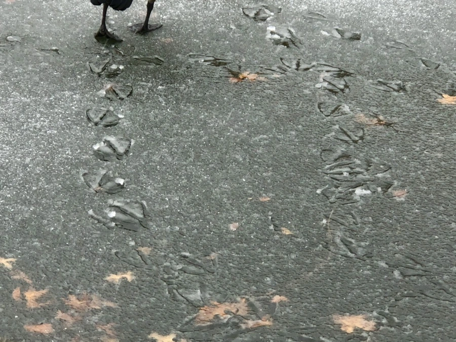 IMG_6022.jpg?type=w966