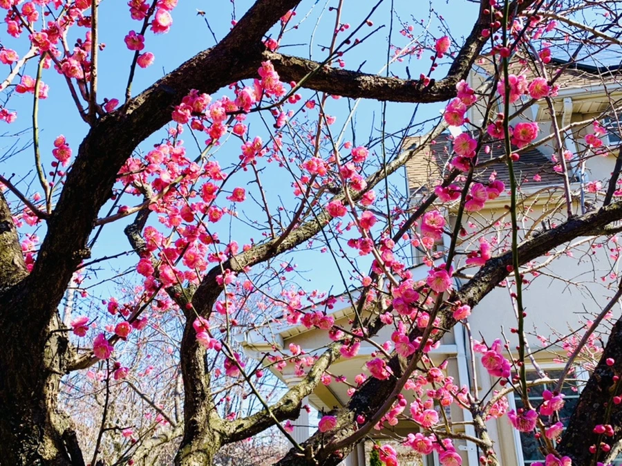 IMG_2997.jpg?type=w966