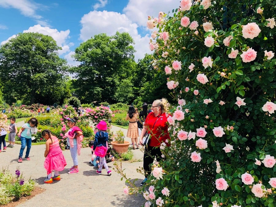 IMG_7175.jpg?type=w966