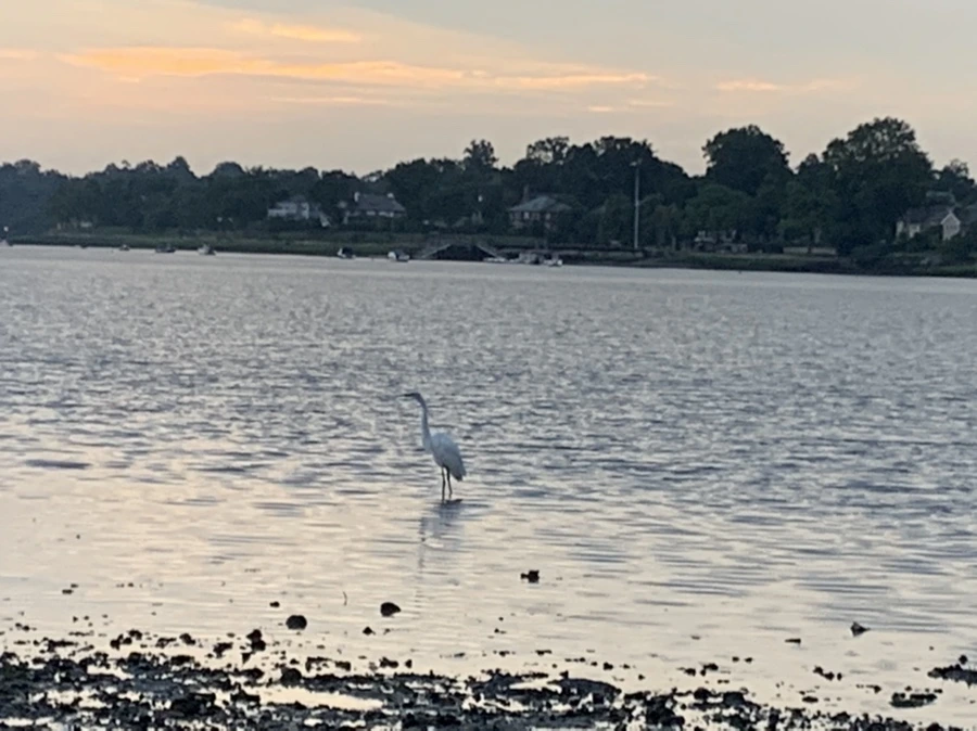 IMG_8176.jpg?type=w966