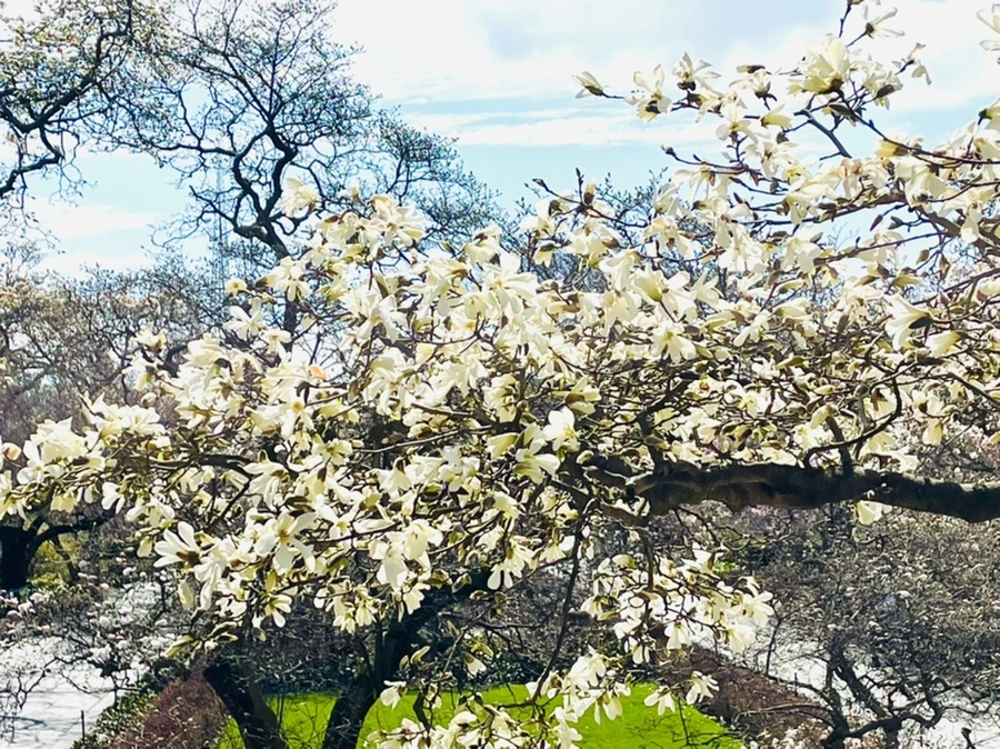 IMG_7053.jpg?type=w966