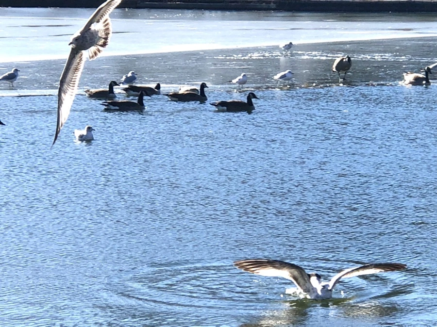 IMG_6667.jpg?type=w966