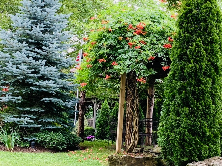 IMG_9030.jpg?type=w966