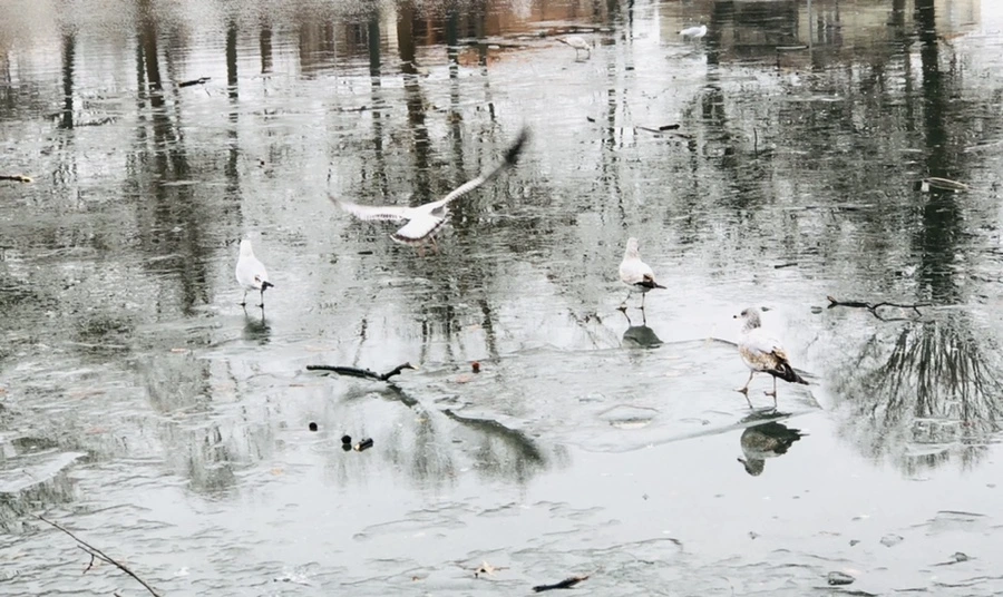 IMG_3177.jpg?type=w966