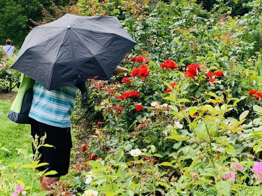 IMG_4928.jpg?type=w966