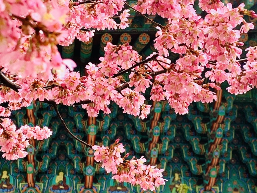 IMG_5245.jpg?type=w966