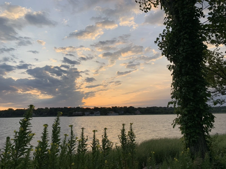 IMG_1713.jpg?type=w966