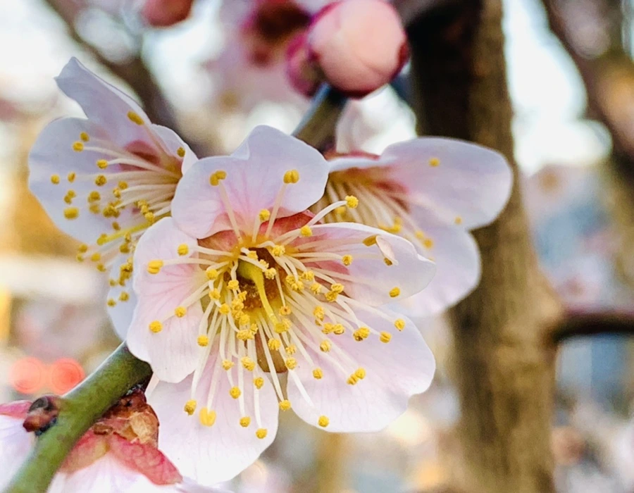 IMG_2258.jpg?type=w966