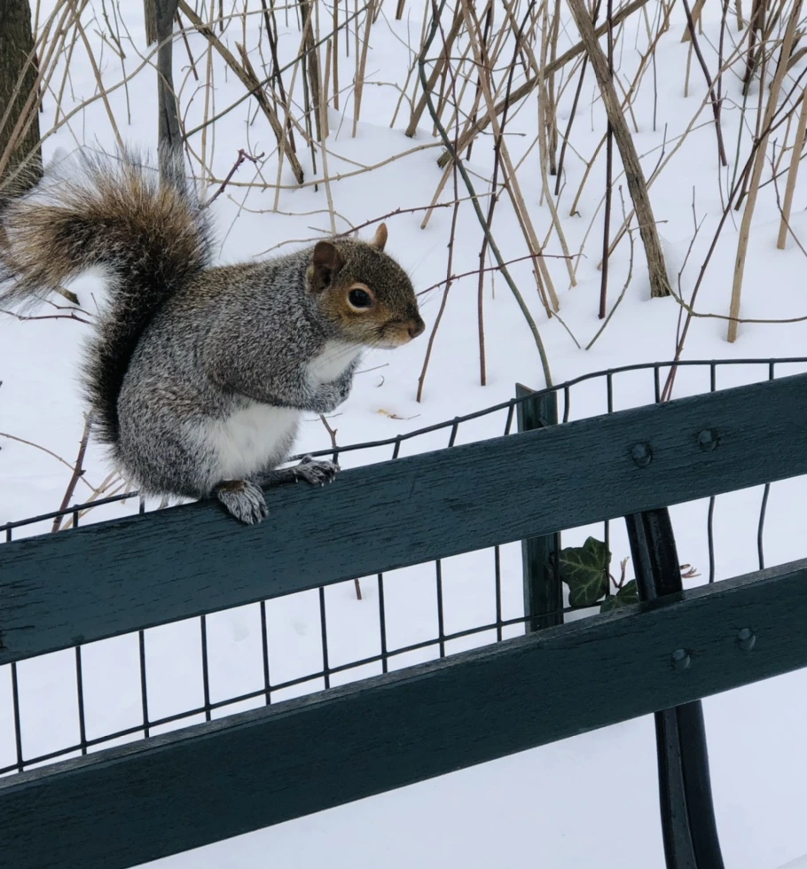 IMG_9513.jpg?type=w966