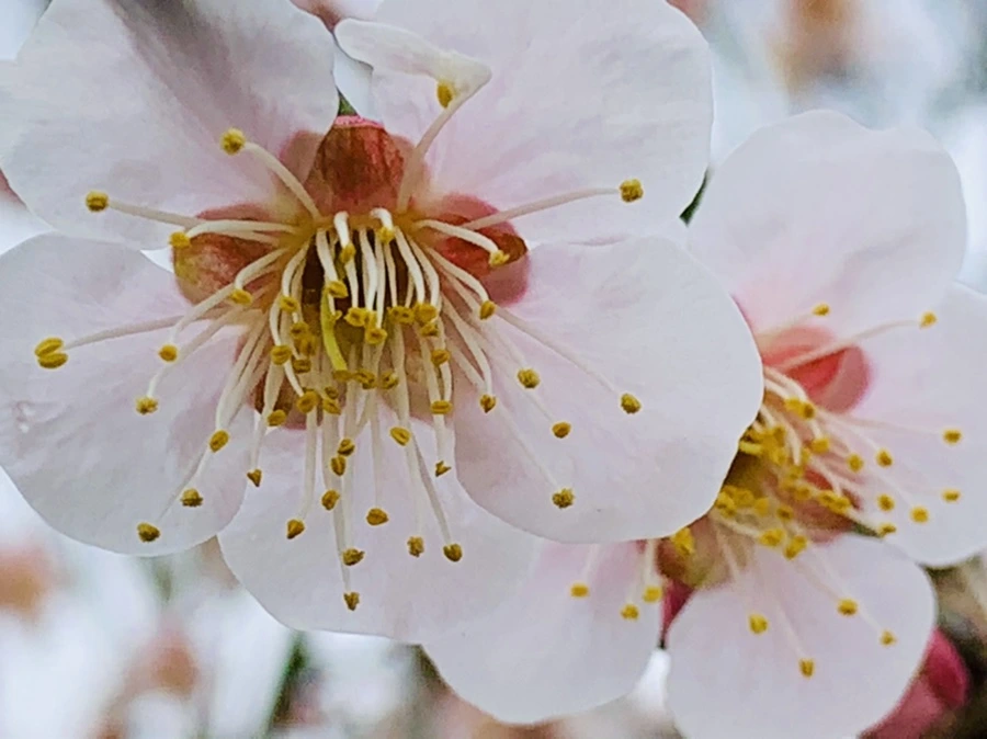 IMG_3560.jpg?type=w966