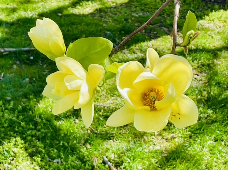 IMG_2028.jpg?type=w966