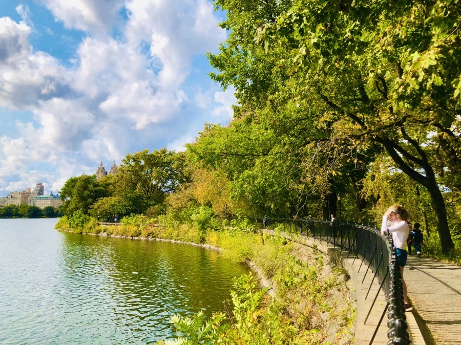 IMG_1916.jpg?type=w966