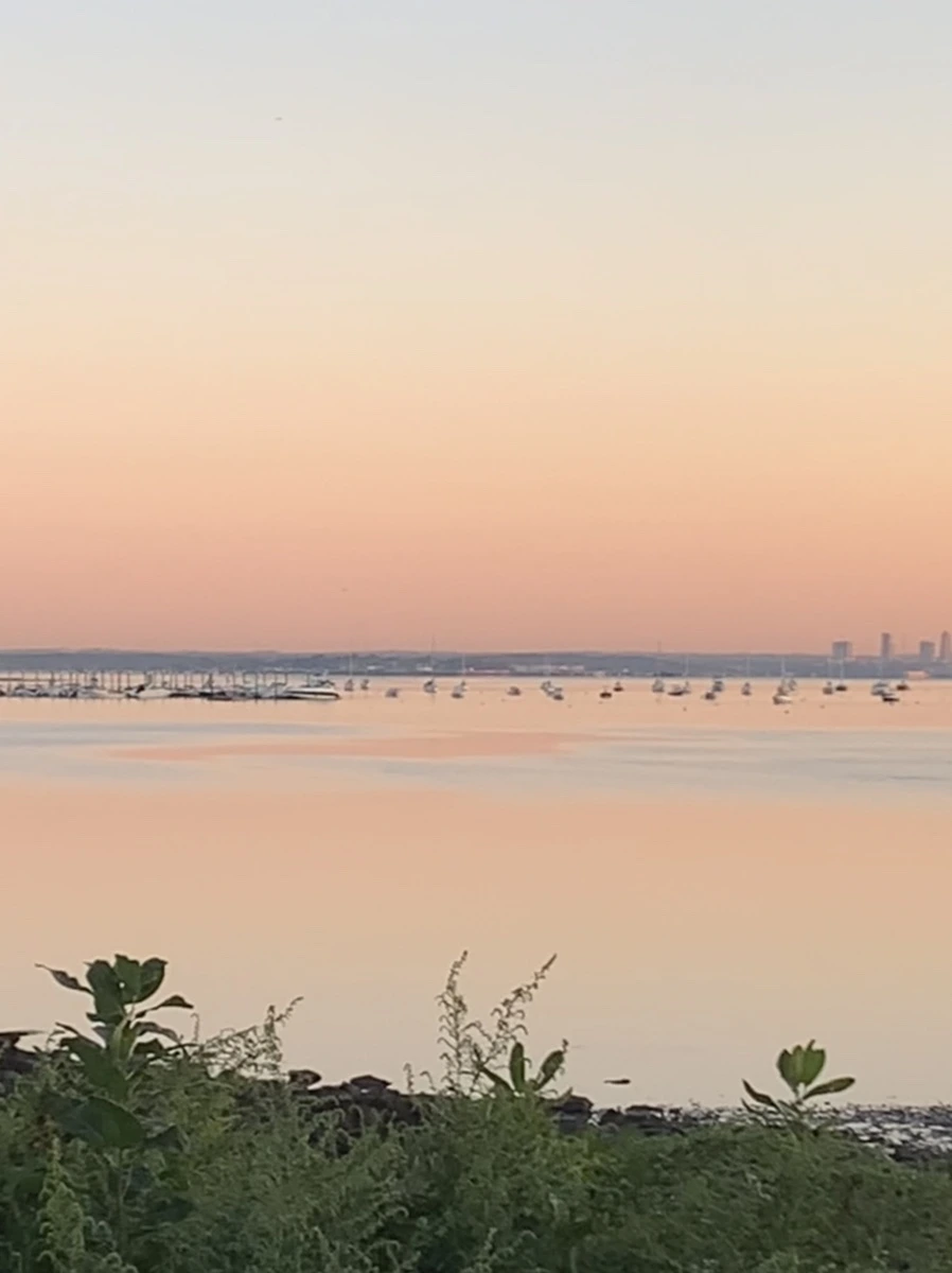 IMG_8553.jpg?type=w966