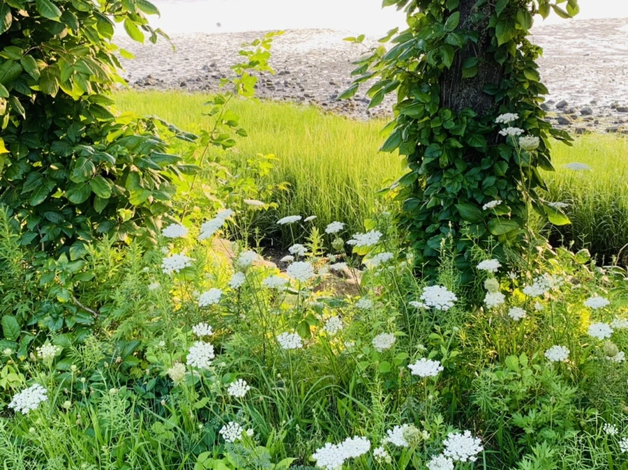 IMG_9796.jpg?type=w966