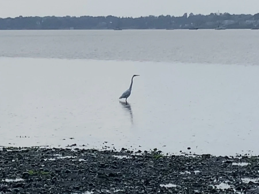 IMG_8115.jpg?type=w966