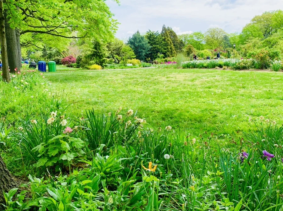 IMG_1319.jpg?type=w966