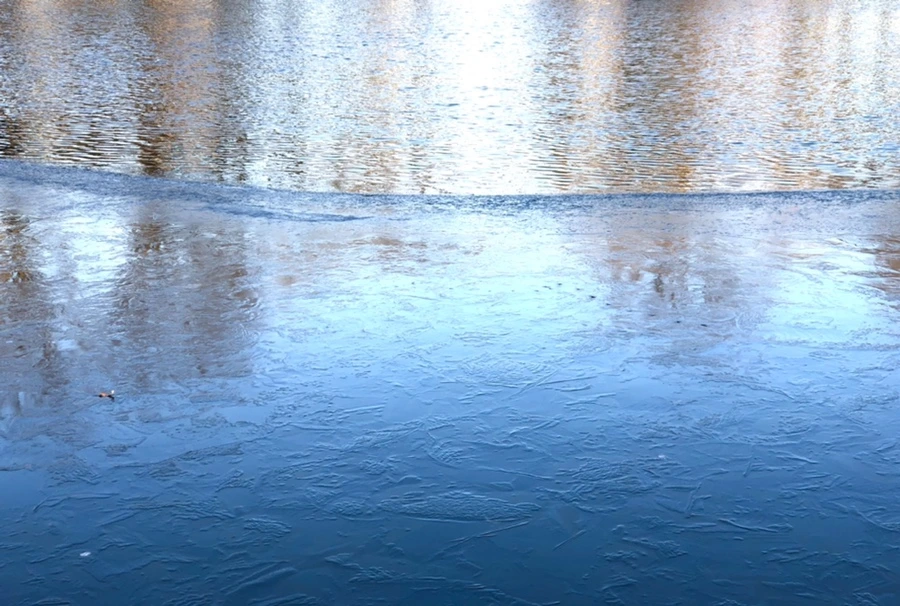 IMG_1093.jpg?type=w966