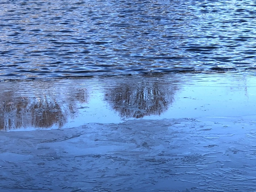 IMG_0565.jpg?type=w966