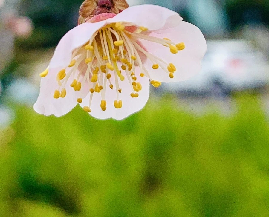 WTqV9ae2dZ0M8A76mSae53b0I0Q