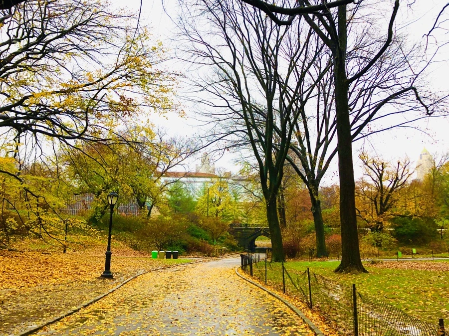 IMG_5721.jpg?type=w966