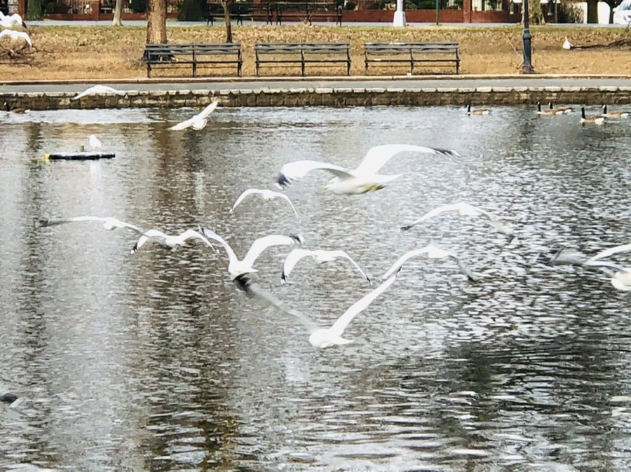 IMG_8638.jpg?type=w966