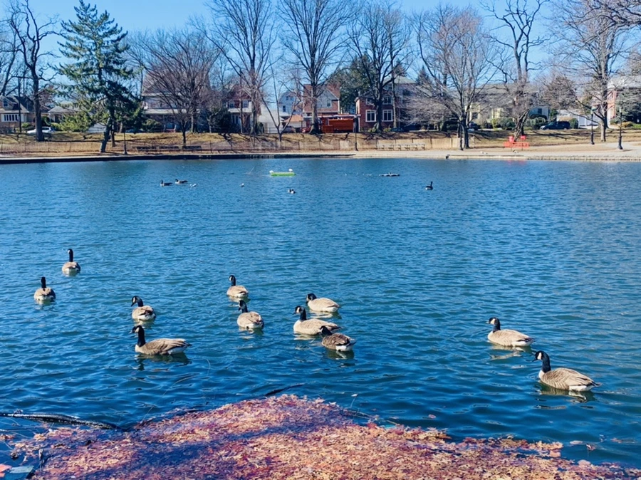 IMG_6744.jpg?type=w966