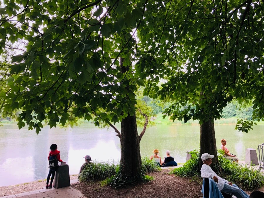 IMG_1826.jpg?type=w966