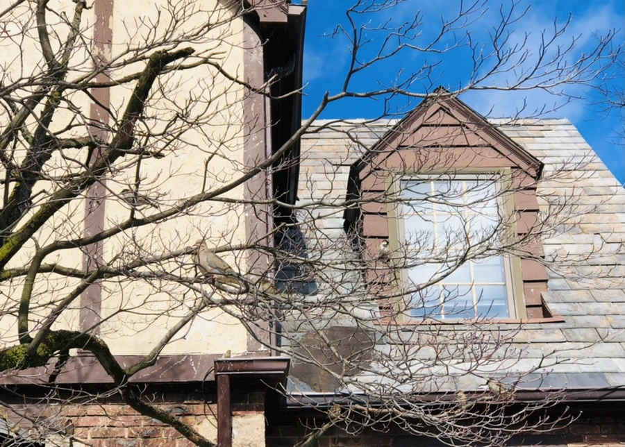 IMG_2816.jpg?type=w966