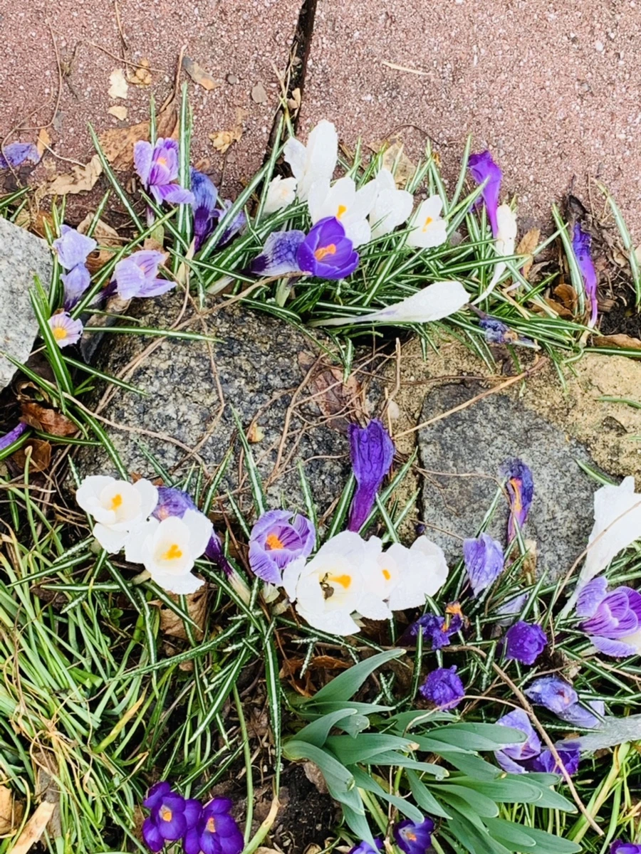 IMG_3764.jpg?type=w966