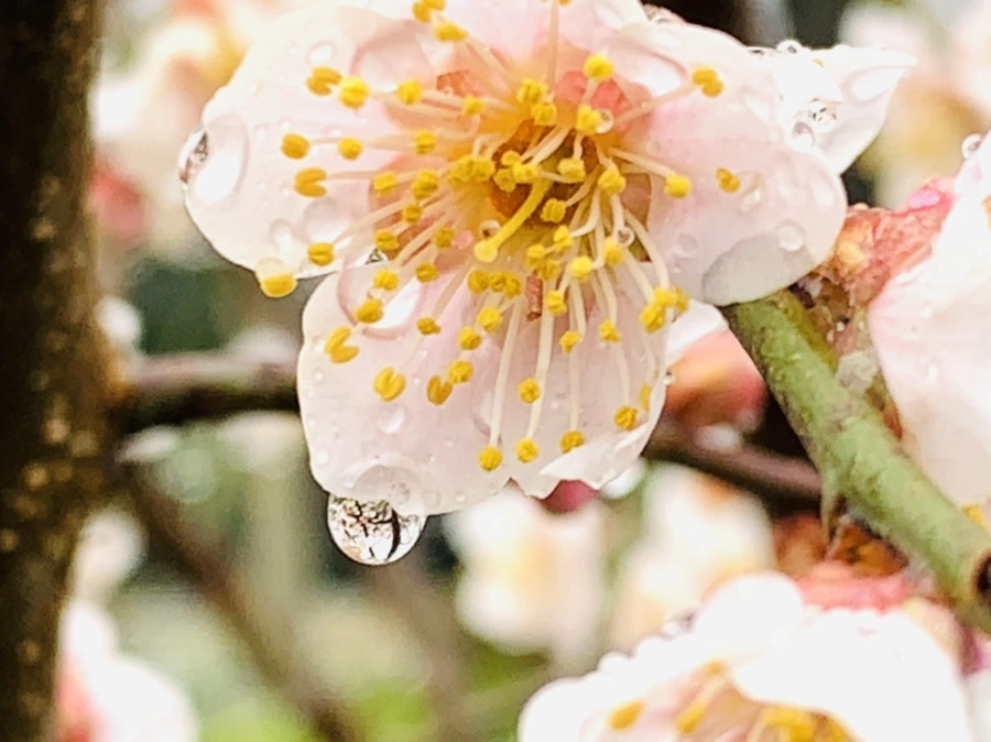 IMG_1938.jpg?type=w966