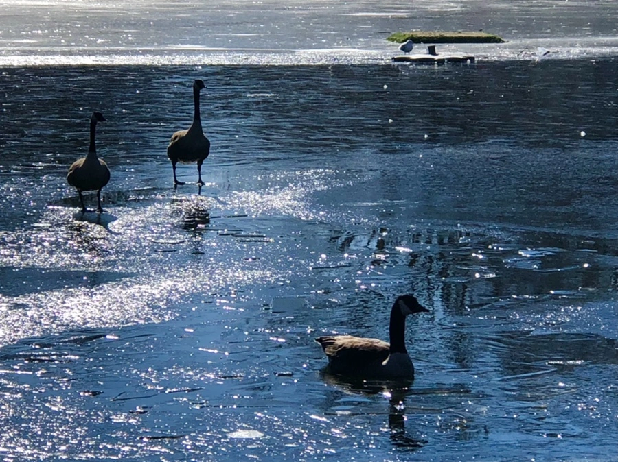 IMG_7973.jpg?type=w966