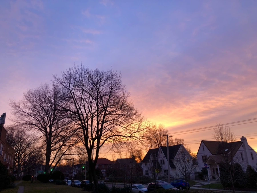 IMG_1901.jpg?type=w966