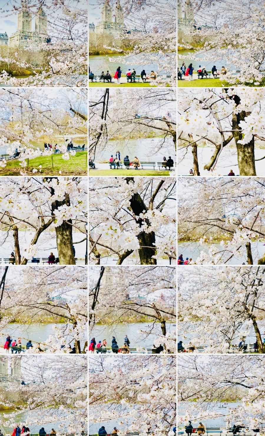 IMG_8988.jpg?type=w966