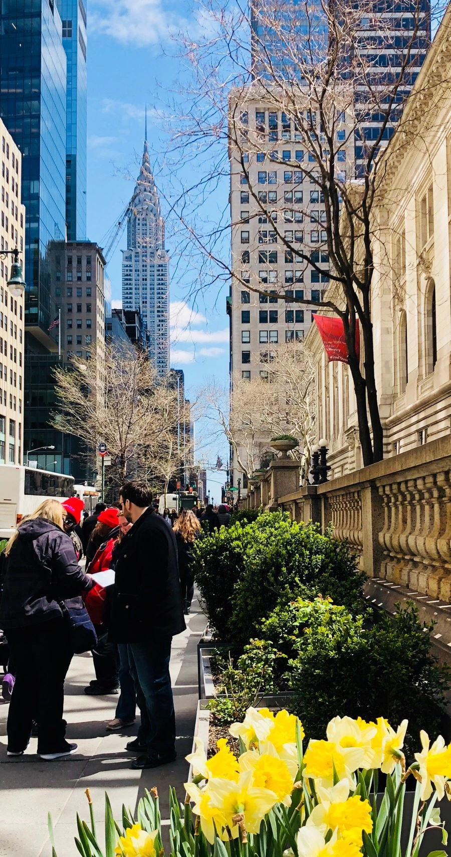 IMG_4575.jpg?type=w966