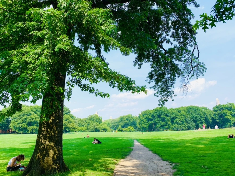 IMG_1683.jpg?type=w966