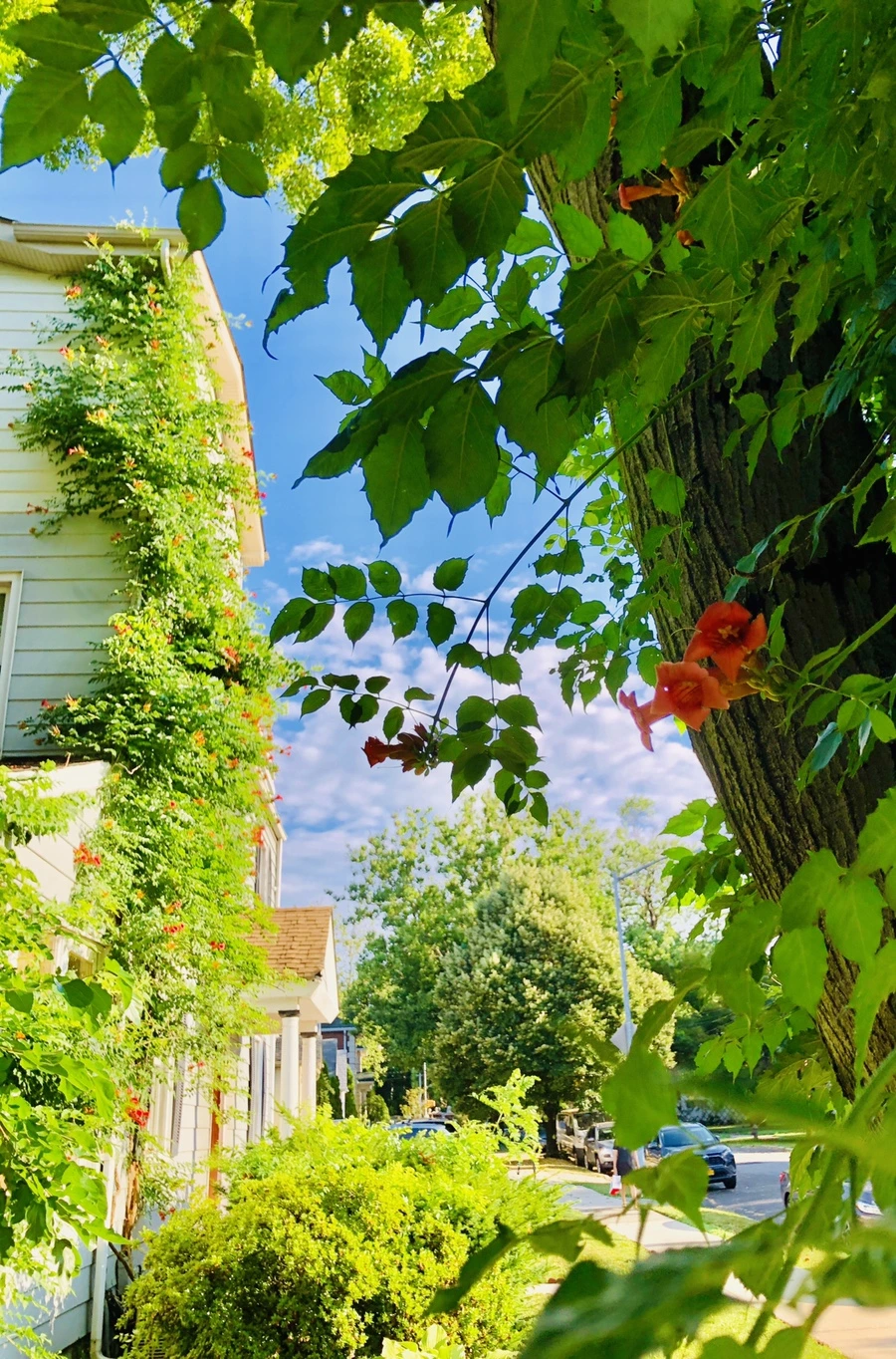 IMG_2131.jpg?type=w966