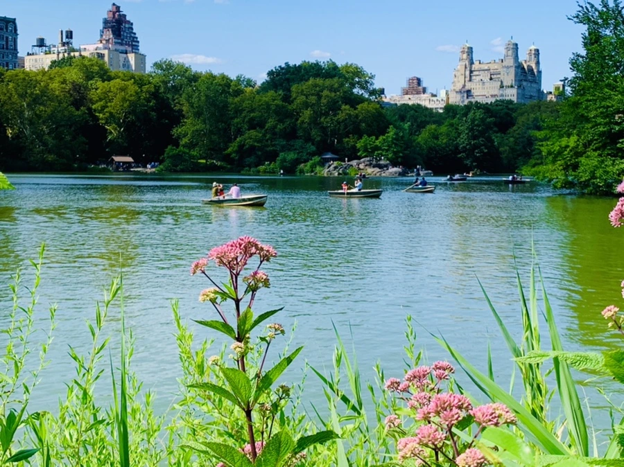 IMG_4470.jpg?type=w966