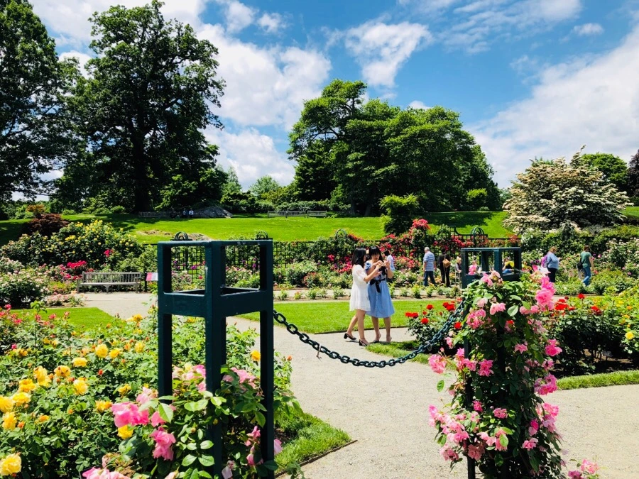 IMG_7189.jpg?type=w966