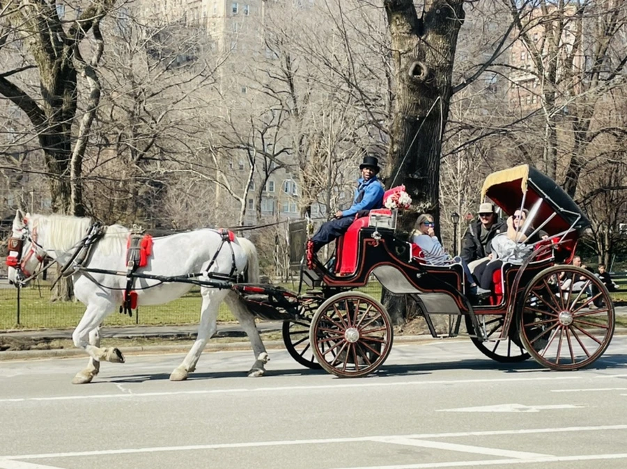 IMG_5473.jpg?type=w966