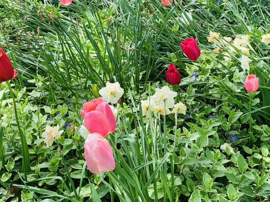 IMG_1369.jpg?type=w966