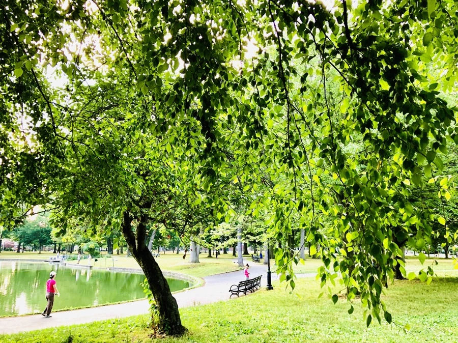 IMG_1757.jpg?type=w966