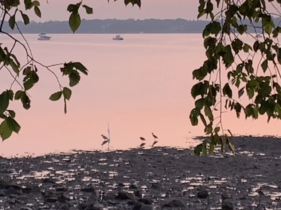 IMG_7138.jpg?type=w966