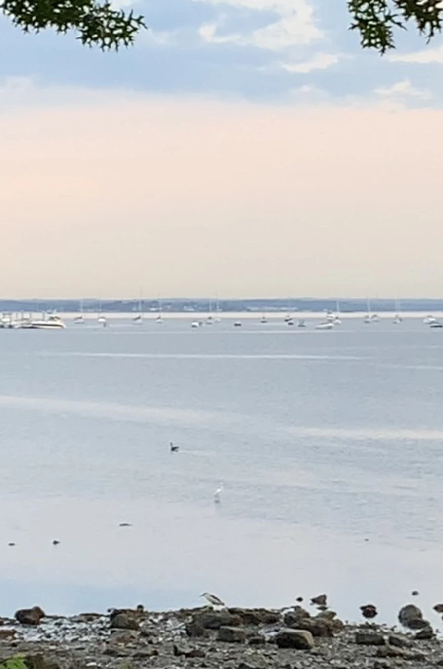 IMG_0659.jpg?type=w966