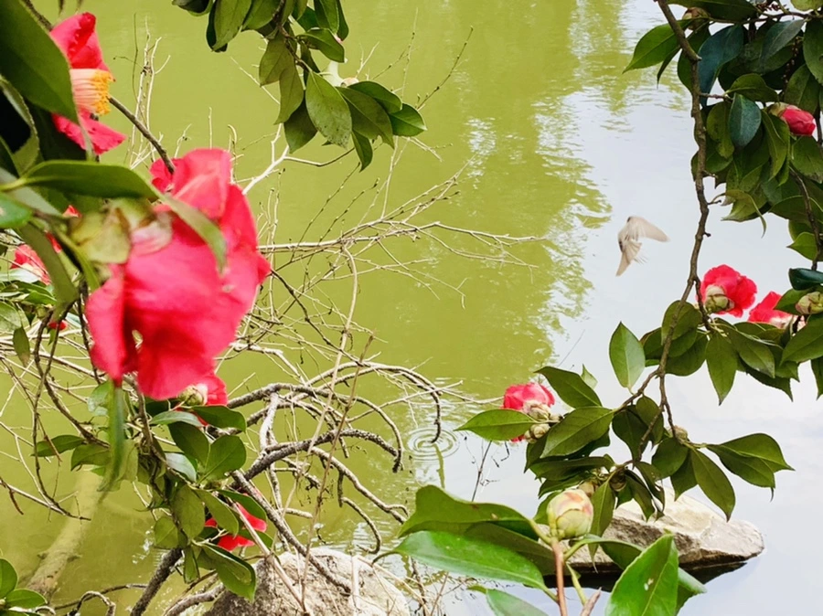 IMG_6447.jpg?type=w966