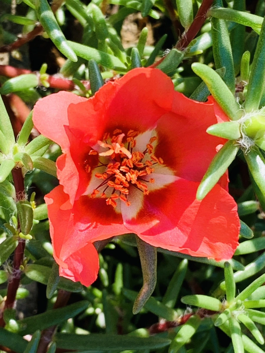 IMG_8380.jpg?type=w966